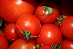 3 способа повысить будущий урожай томатов в рассадный период.