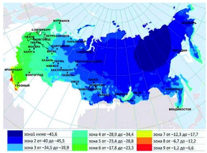 USDA-зоны морозостойкости растений в России: как не наткнуться на неженку