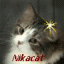 Nikacat