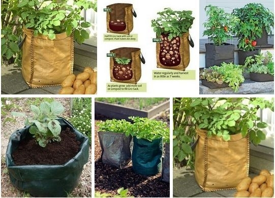 Выращиваем картофель в...мешке