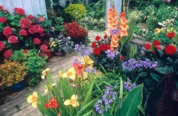 6 лучших органических удобрений для цветника