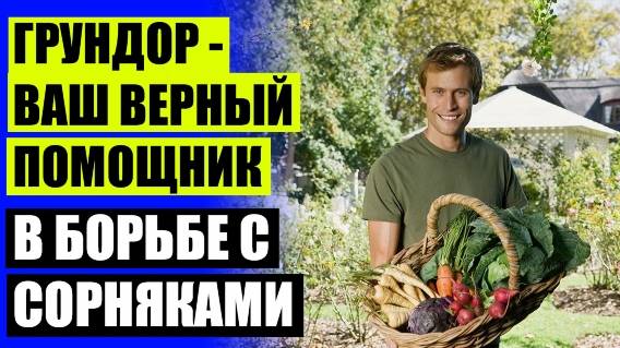 ВЫРАЩИВАНИЕ ОГУРЦОВ В ТЕПЛОЙ ГРЯДКЕ СРЕДСТВО ОТ СОРНЯКОВ В КАРТОФЕЛЕ