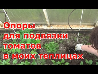Как и какие опоры для подвязки томатов в теплице я использую. Быстро и надежно.