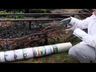 САМЫЙ ЛУЧШИЙ СПОСОБ УКРЫТИЯ ВИНОГРАДА НА ЗИМУ