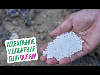 Минеральные удобрения осенью