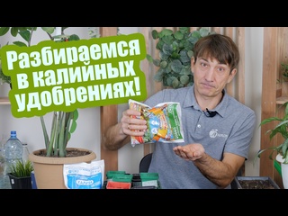 Калийные удобрения: зачем они нужны и как выбрать?