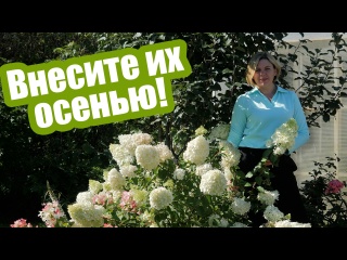 Удобрения осенью: как и что вносить под растения и в почву