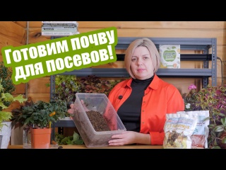 Готовим грунт для рассады: что добавить в почвосмесь?