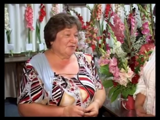 Выращивание гладиолусов