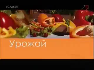 Урожай. Выращивание перца в теплице