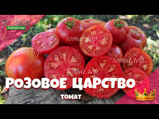 Томат Розовое царство. Описание сорта, характеристики и отзыв о сорте Розовое царство