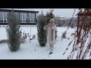 Что делать в саду в январе