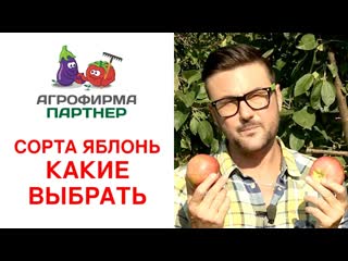 СОРТА ЯБЛОНЬ. КАКИЕ ВЫБРАТЬ
