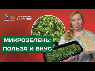 ПРОСТОЙ СПОСОБ ВЫРАЩИВАНИЯ МИКРОЗЕЛЕНИ!