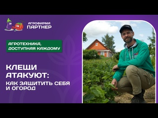 КЛЕЩИ В САДУ И ОГОРОДЕ: как распознать и чем обработать?