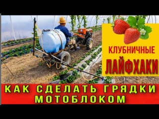 Как сделать грядки мотоблоком .Клубничные лайфхаки