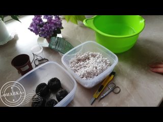 Торфосмесь из торфяных таблеток