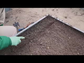 ПОДЗИМНИЙ ПОСЕВ В ОКТЯБРЕ! ? Семена Алтая