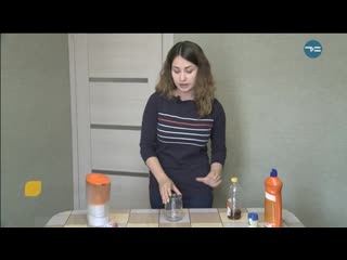 ЛОВУШКА ДЛЯ ПЛОДОВОЙ МУШКИ