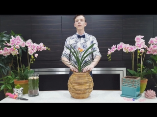 Кливия - секреты ухода и выращивания в домашних условиях. Проверенный способ для цветения кливии.