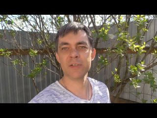 Пять полезных советов как выращивать тюльпаны во время цветения и после цветения.