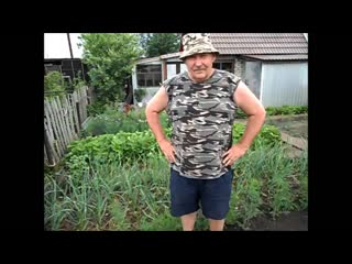 Выращивание укропа в открытом грунте.mp4