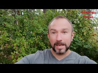 Знакомство с войлочной вишней для новичков