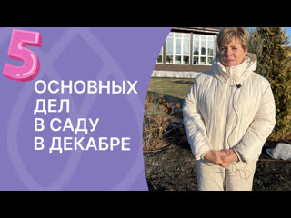 Основные дела в саду в декабре! Не потеряйте растения в мороз!