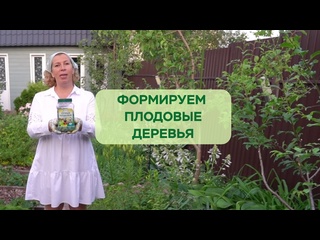 Формируем и подкармливаем плодовые деревья