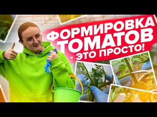 ВСЕ про ФОРМИРОВКУ ТОМАТОВ в 1, 2, 3 и 4 СТЕБЛЯ