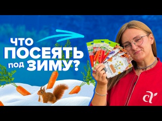 ЧТО ПОСЕЯТЬ ПОД ЗИМУ? #семенаалтая