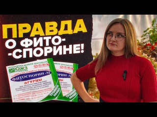 МИКОРИЗА. ТРИХОДЕРМА. БОКАШИ. ВСЯ ПРАВДА про БАКТЕРИИ в ОГОРОДЕ