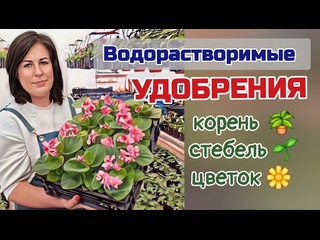 Водорастворимые удобрения