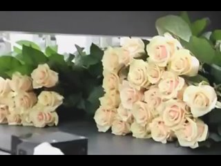 Как выращивают розы. Технология выращивания роз