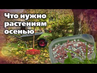 ОСЕННИЕ УДОБРЕНИЯ. ОБЗОР ПОДКОРМОК