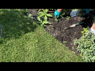 ДЕКОРИРУЕМ САД КОРОЙ+ ГДЕ ВЗЯТЬ КОРУ БЕСПЛАТНО!