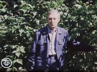 Об обрезке малины после плодоношения. Наш сад (1985)