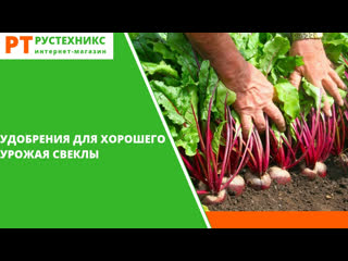 Удобрение для свеклы
