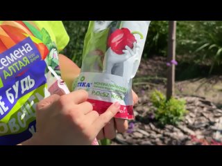 Подготовка грядки под чеснок, увеличиваем зимостойкость растений. УДОБРЯЕМ ОСЕНЬЮ! ? Семена Алтая Подготовка грядки под чеснок, увеличиваем зимостойкость растений. УДОБРЯЕМ ОСЕНЬЮ! ? Семена Алтая