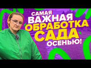 ГЛАВНАЯ ОБРАБОТКА САДОВЫХ ДЕРЕВЬЕВ ОСЕНЬЮ ? Семена Алтая