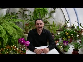 Что нужно знать об удобрениях для комнатных растений