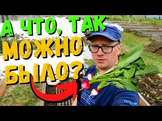 Выращиваем РЕДИС в ЯИЧНЫХ ЛОТКАХ. Развенчиваем МИФ