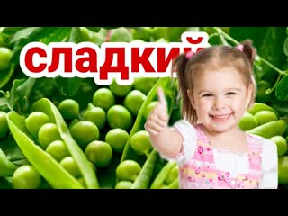 Как вырастить сладкий зелёный горох. Узнаем секреты агротехники этой культуры