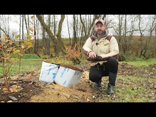 ЗАГОТАВЛИВАЙТЕ ГРУНТ ДЛЯ РАССАДЫ БЕСПЛАТНО. Способы заготовки качественного грунта для рассады.