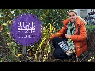 ОСЕННЯЯ ОБРЕЗКА в саду | Что я обрезаю осенью в саду