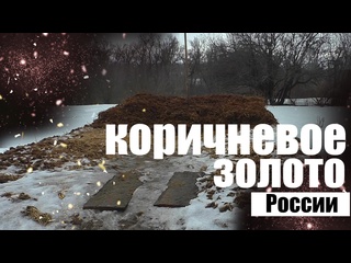 как хранить навоз на своем участке
