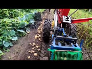 Картофелекопалка с хвостом