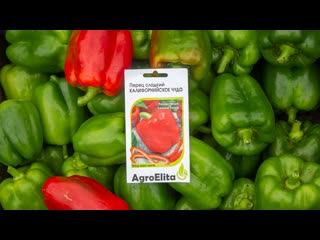 Перец сладкий &mdash; Калифорнийское чудо