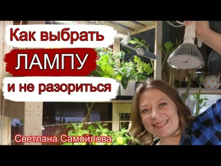 КАК ВЫБРАТЬ ЛАМПУ И НЕ РАЗОРИТЬСЯ