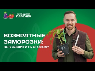 КАК ЗАЩИТИТЬ РАССАДУ ОТ ВОЗВРАТНЫХ ЗАМОРОЗКОВ